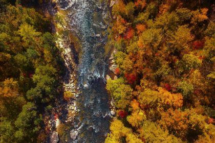 Aerial View of River