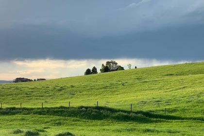 green grass field under white clouds during daytime