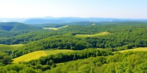 Vibrant Kentucky landscape with rolling hills and greenery.